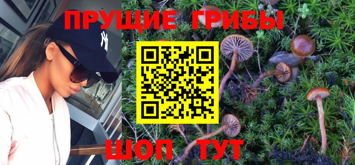 Псилоцибиновые грибы GOLDEN TEACHER  Вход с VPN  Каменск-Уральский 
